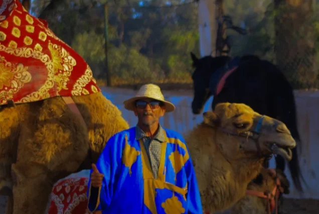 Camel Riding & Lunch — Desert Vibes